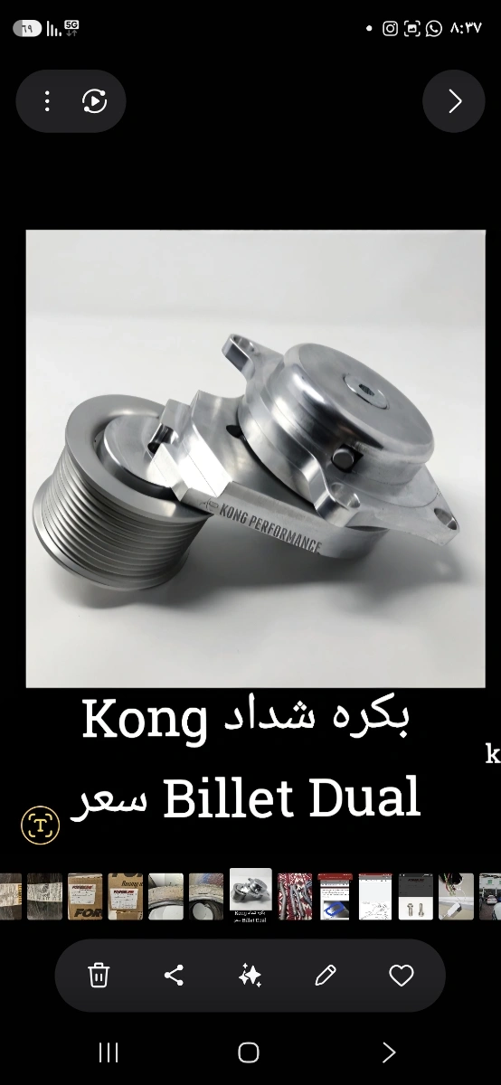 للبيع بكره شداد